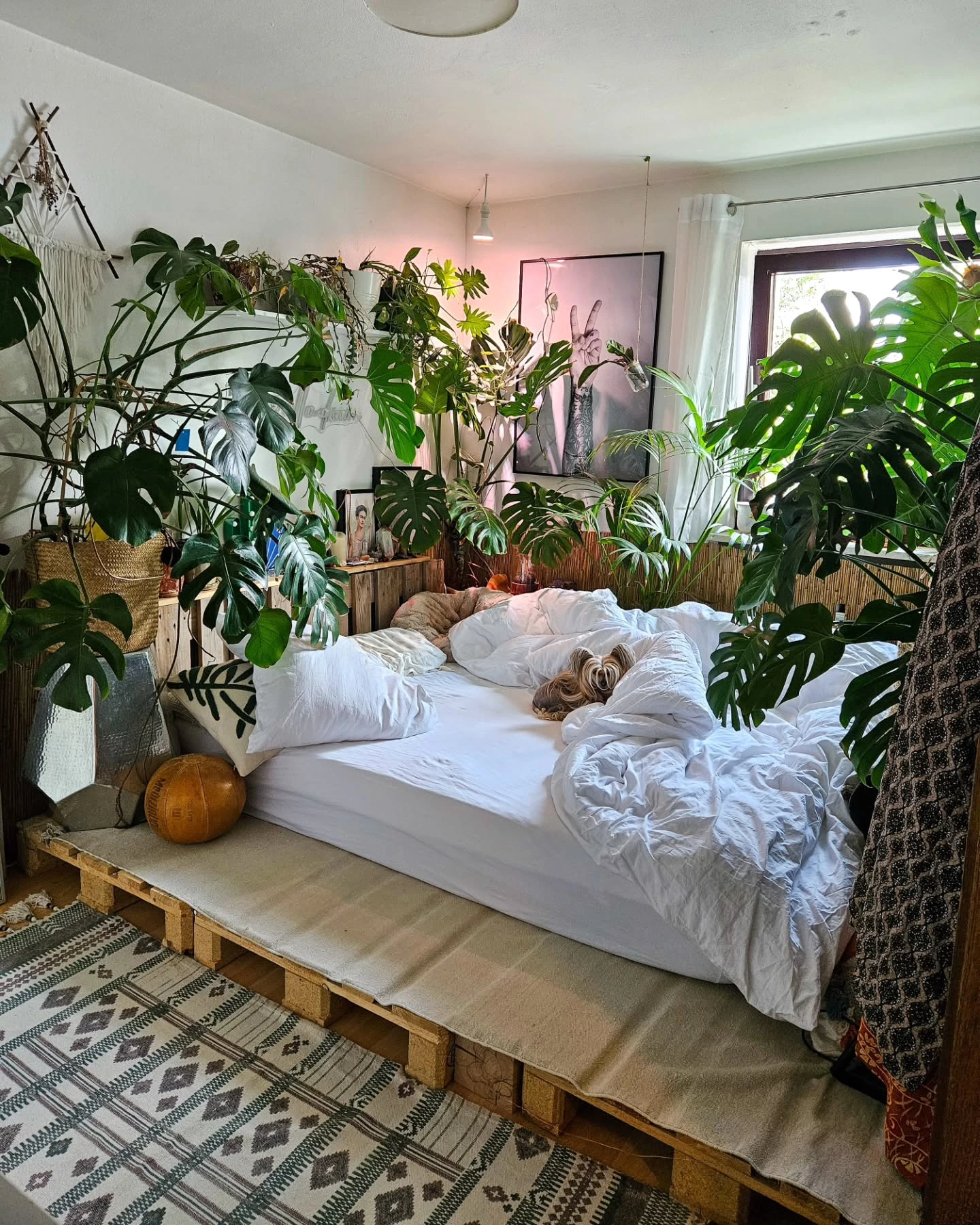 Boho Bedroom Ideas Bohemian Cozy: Bed with many large green plants.