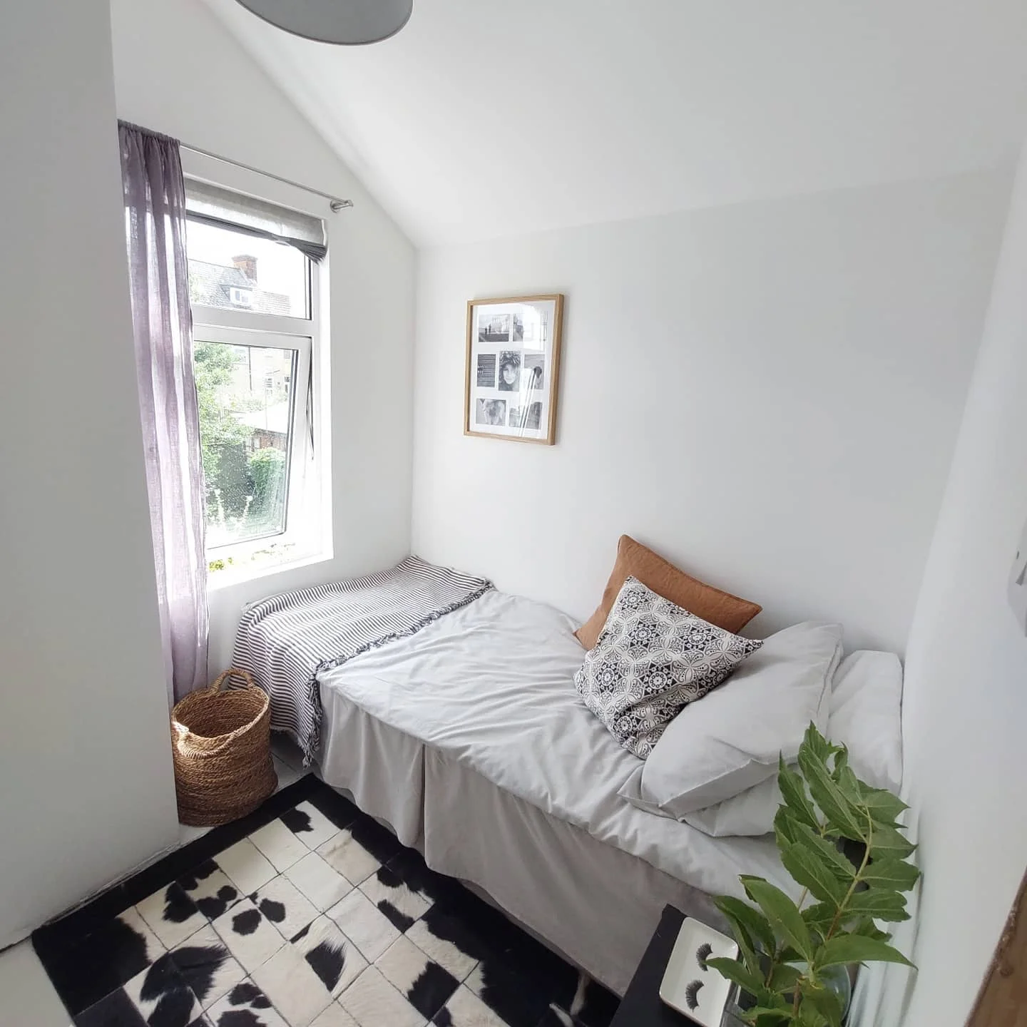 Minimalist white bedroom with plants