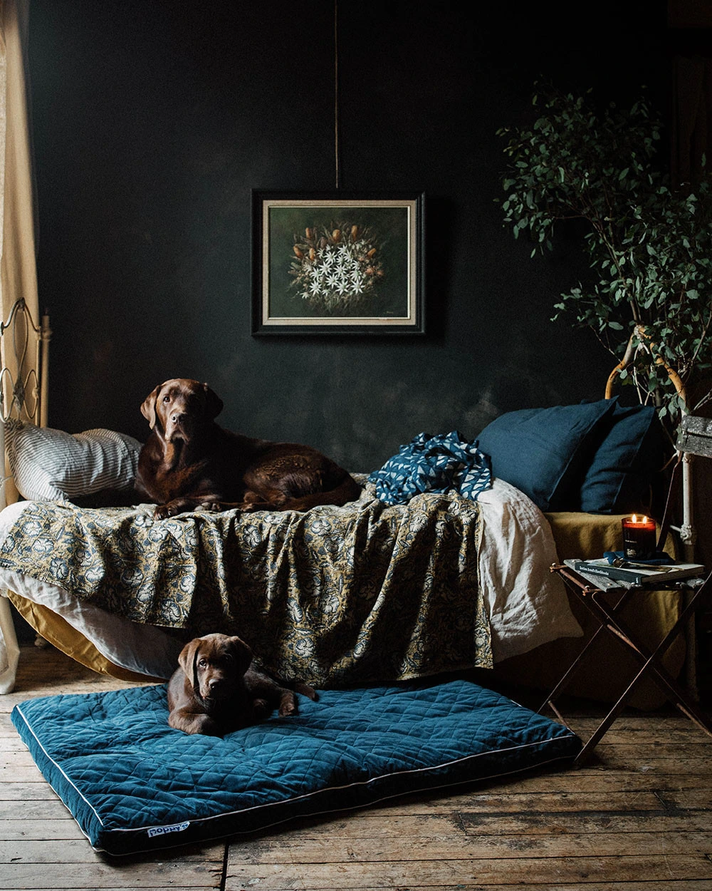 Two dogs relaxing on a vintage-style bed and dog bed.  