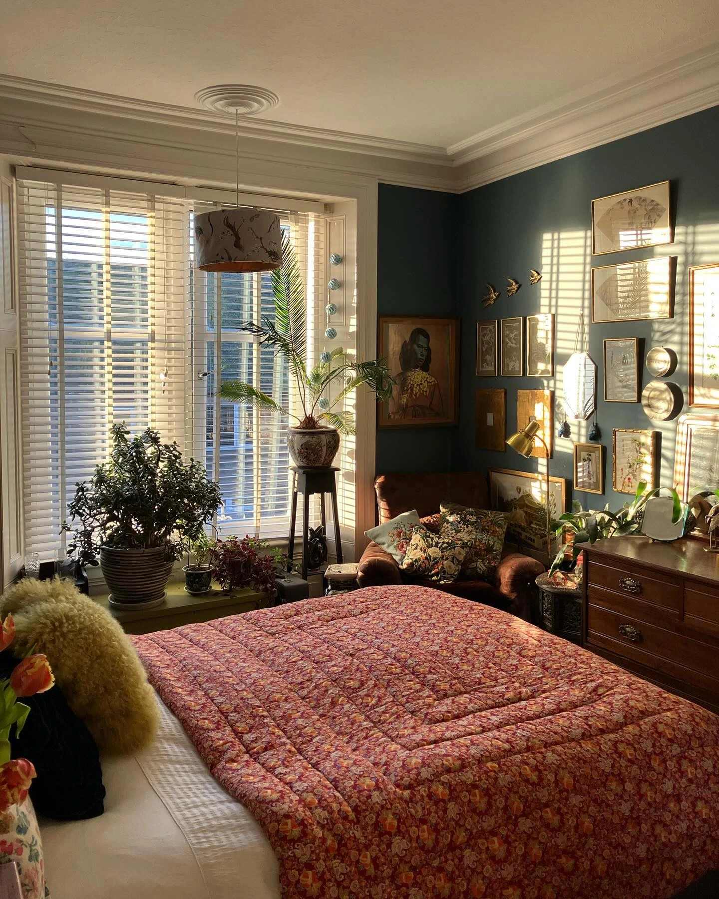 Gallery wall with plants in a sunlit bedroom.  