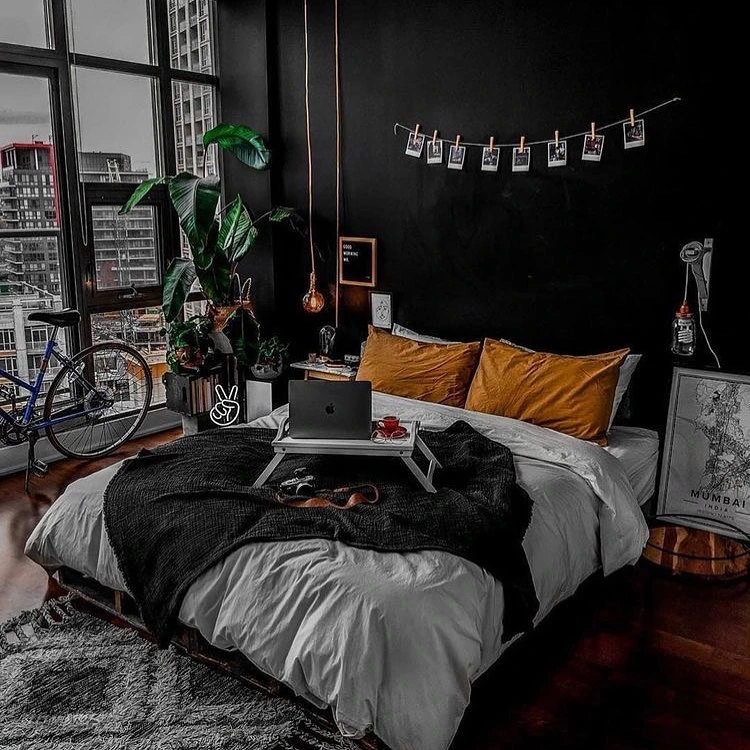 Dark room with plants and bike