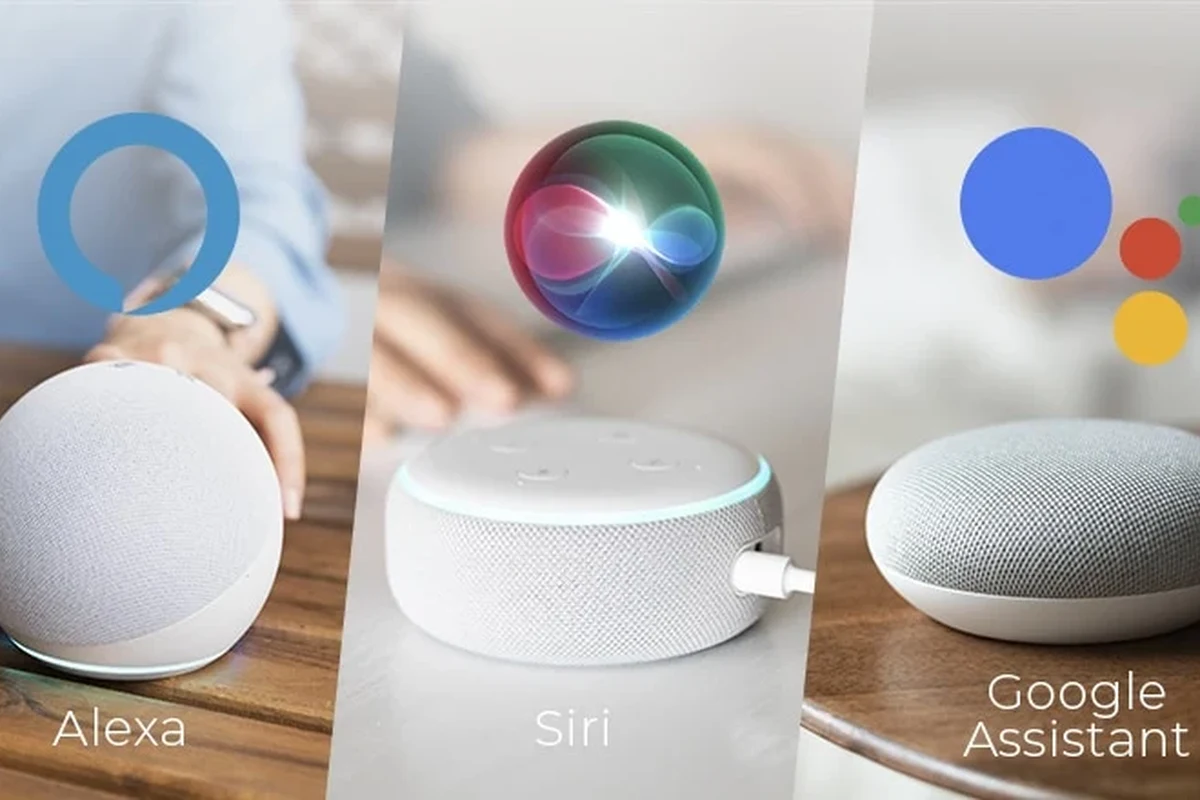 Which Is Better: Google or Alexa for Daily Use? 3 which is better google or alexa