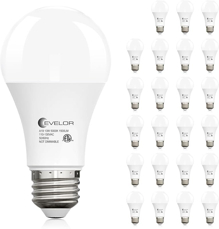 10 Best LED Bulbs for Home: Top Picks & Buyer's Guide 6 Evelor A19 LED Light Bulbs, 100 Watt Equivalent, Daylight 5000K, 24-Pack for Maximum Brightness
