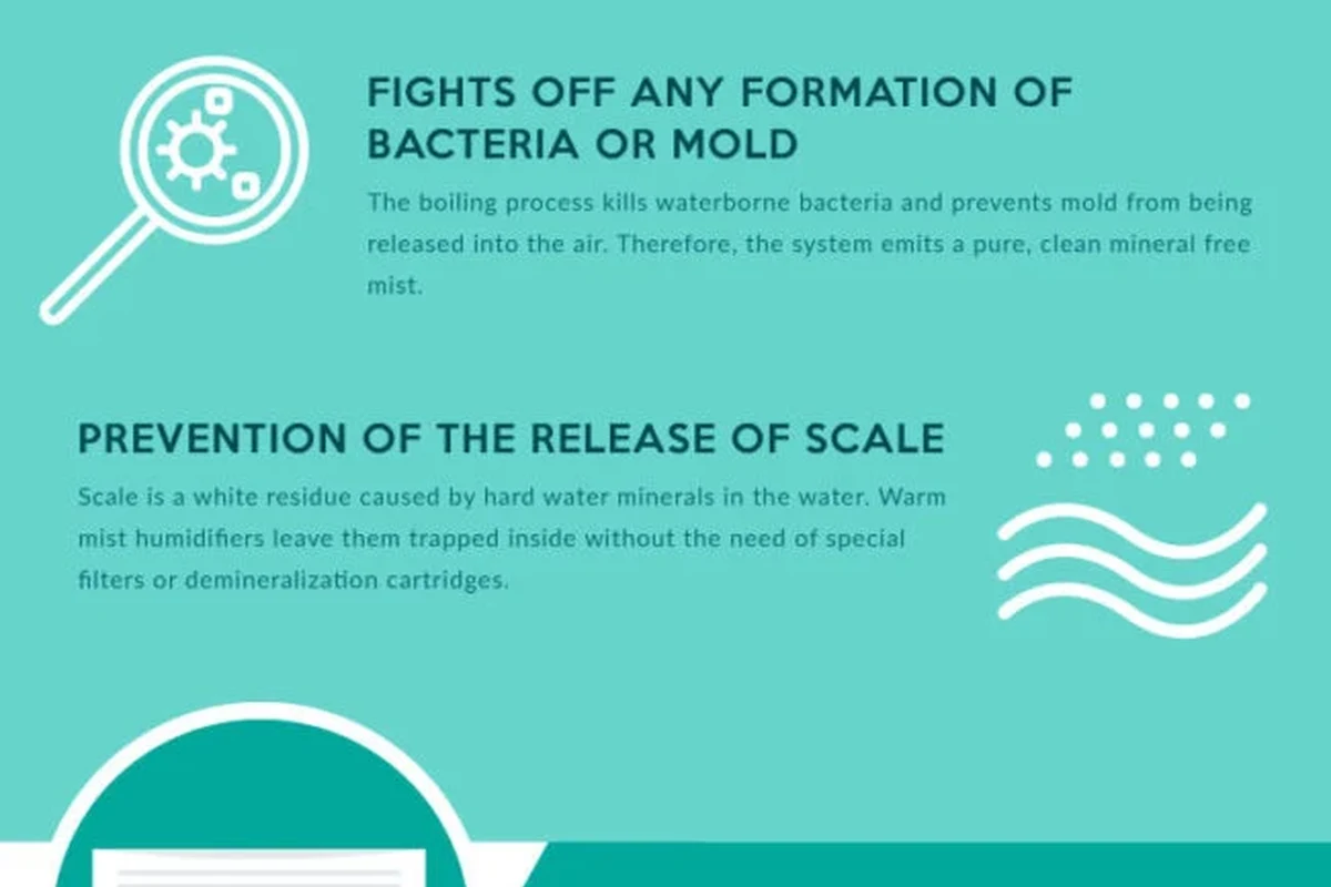 Cold vs Warm Humidifiers for Infants: Which Is Safer? 2 cold vs warm humidifiers for infants